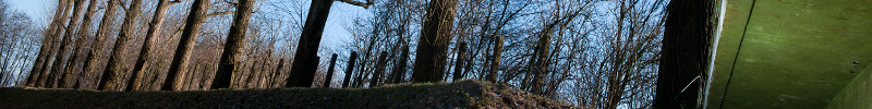 home wandelenmetdefotograaf.nl