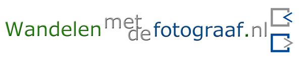 wandellogo